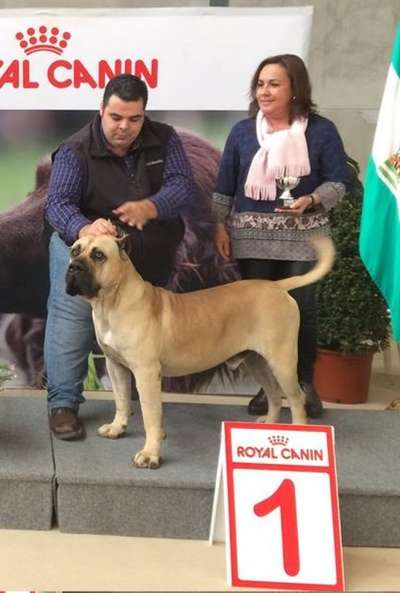 LOCO DE GUADALCAN