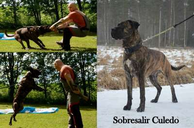 CULEDO DE SOBRESALIR