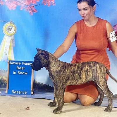 HEIKE DE REY GLADIADOR