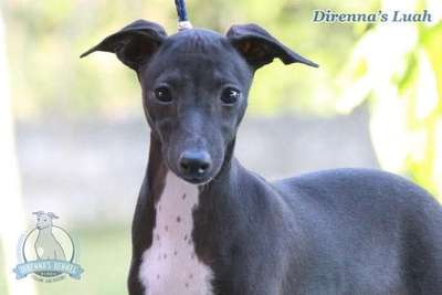 Direnna's Luah