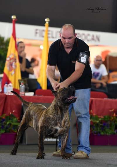 RASHA DE ZURITA CAN