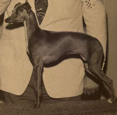 Anthony's Bleu De Beau