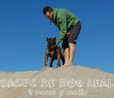 BARUC DE DOG REAL