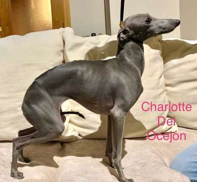 Charlotte Del Ocejon