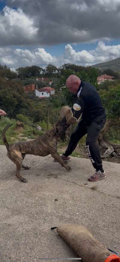 THOR DA CASA CAMARINHA