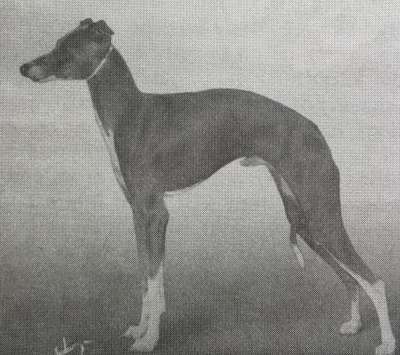 Seminole Of Bella Casa