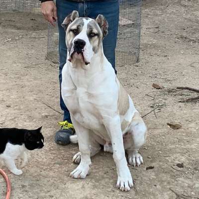 ROLLO DE PRESAS DEL GUAJIRO