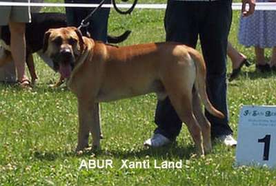 ABUR XANTI LAND