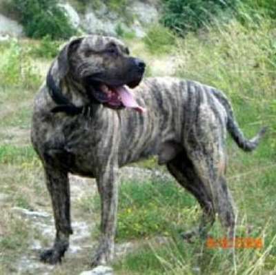 LENNOX