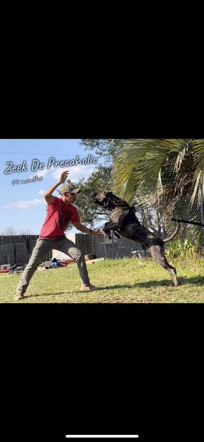 ZEEK DE PRESAHOLIC