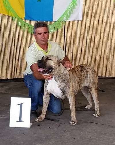 NALA DE URBAJONA