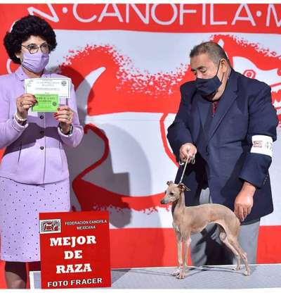 Mi-Lu Roldán