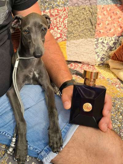 Versus Versace Du Domaine de Chanteloup