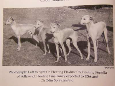 Fleeting Fenella Of Follysend