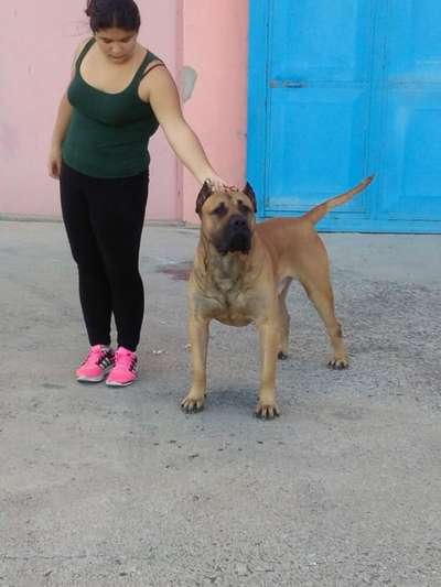 BENTEJUI DE CANCHAS DE GUAYRES