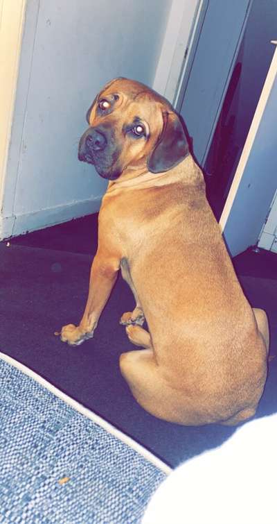 DAKOTA DE GRACE
