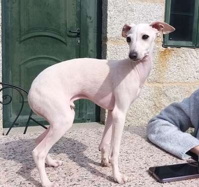 Sedrick des Princes de Minos