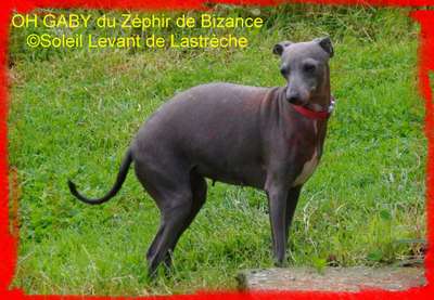 Oh Gaby Du Zéphyr De Bizance