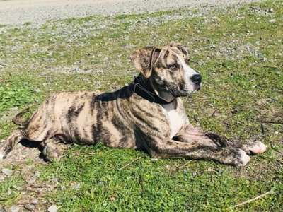 ERICK DE KING ZULU
