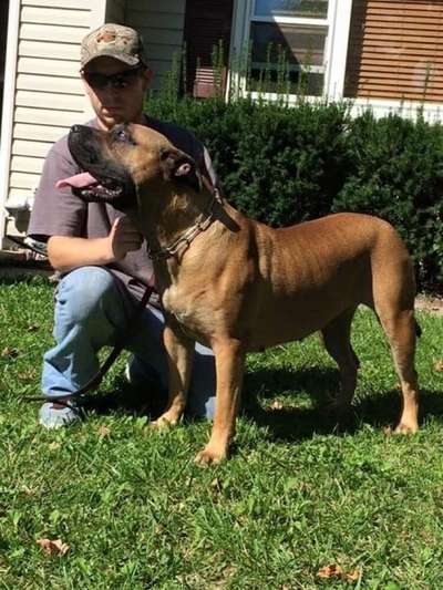 MID AMERICA K-9 PRESHA