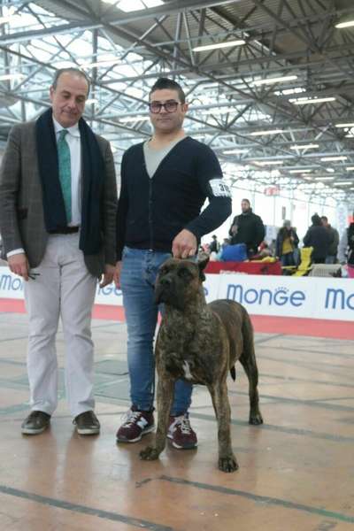 S'ACCABADORA VINCIGUERRA