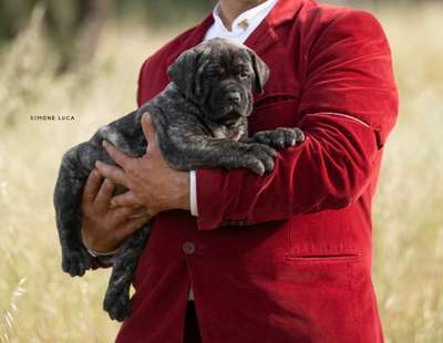 GIULIA SARDINIA PRESA CANARIO