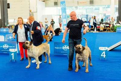 ALMA YKA KENNEL