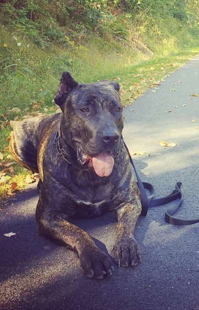 ZARA OF MPC KENNELS