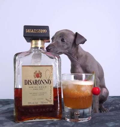 Amaretto Sour Des Jolis Diablotins