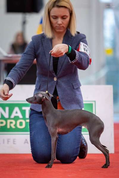 Etta Kopos Namai
