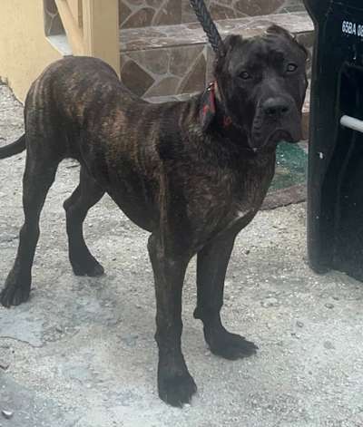 SETH SALAMANCA TOPGUN