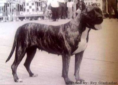 KYMA
