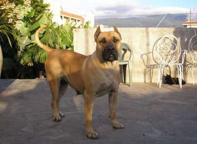 GARAFRA DE GAREHAGUA