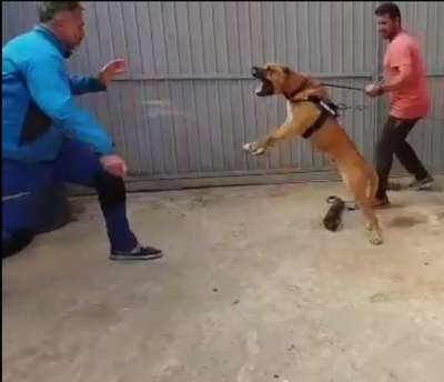 CHUNGA DE REGANADOS