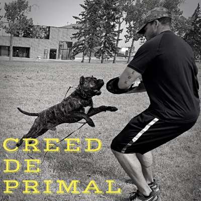 CREED DE PRIMAL