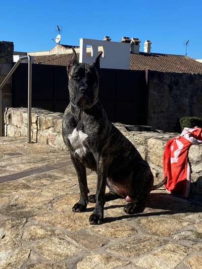 KALA DE SPARTA WILDBOYZ