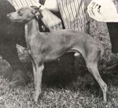 Russo's Vito Di Orson Cappy