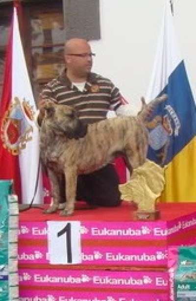 TENISCA DE CIELO DE CANARIAS