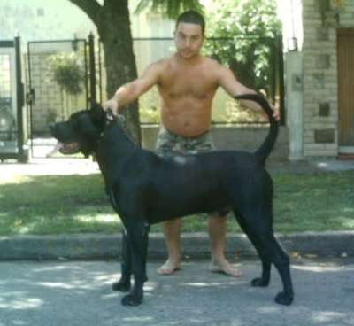 NEGRO DE RANCHO BRAVO