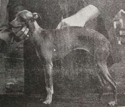 Morning Star Of Dearbridge