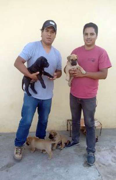 ASIA DEL REY CHOCOBULL'S