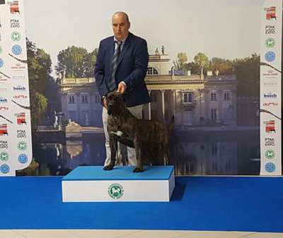 CONDESA DE SAMCOR