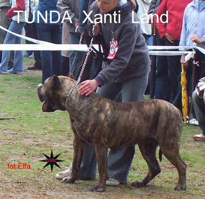 TUNDA XANTI LAND