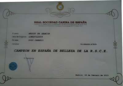 ARICO DE SAMCOR