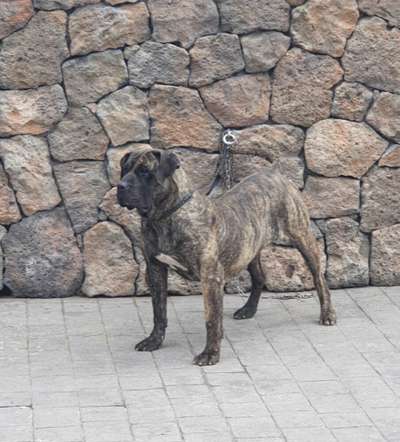 TAIFA DE SAMCOR