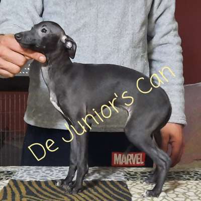 Moka Noir De Junior's Can
