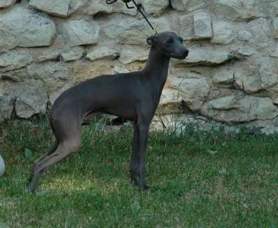 Sobers Ottavio