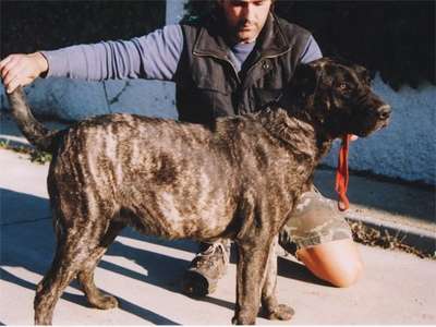 KURUNCHE DE KING ZULU