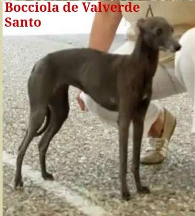 Bocciola De Valverde Santo