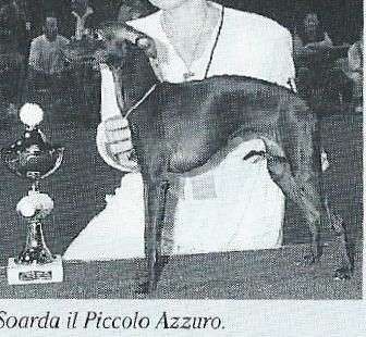 Soarda Il Piccolo Azzuro